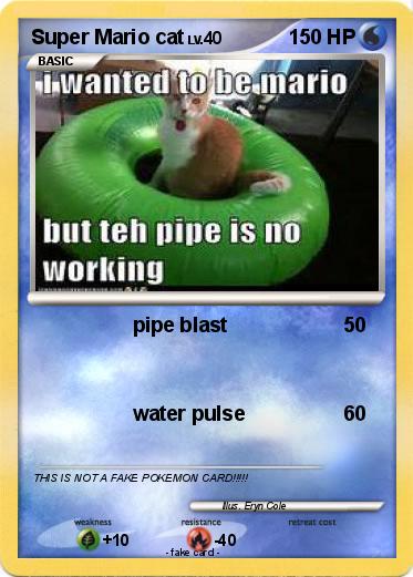 Pokemon Super Mario cat