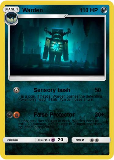 Pokemon Warden