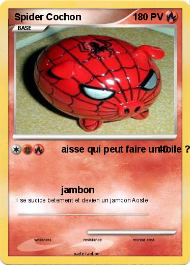 Pokemon Spider Cochon