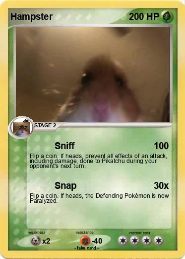 Pokemon Hampster
