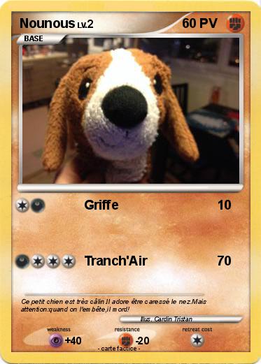 Pokemon Nounous