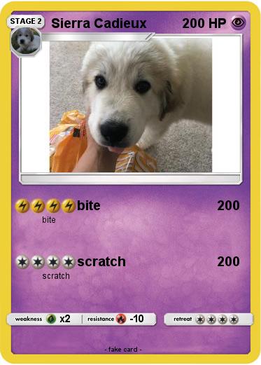 Pokemon Sierra Cadieux