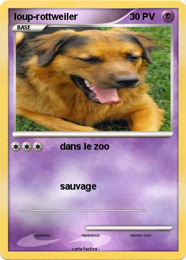 Pokemon loup-rottweiler