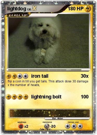 Pokemon lightdog