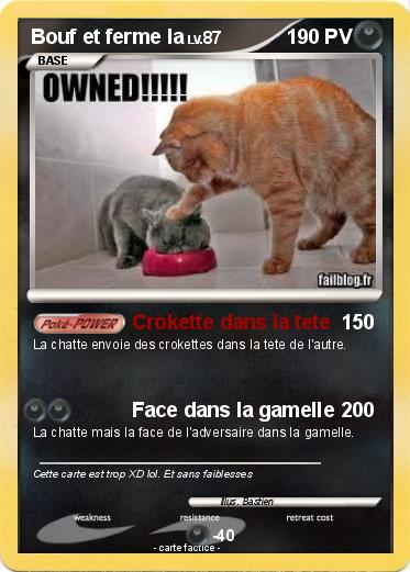 Pokemon Bouf et ferme la