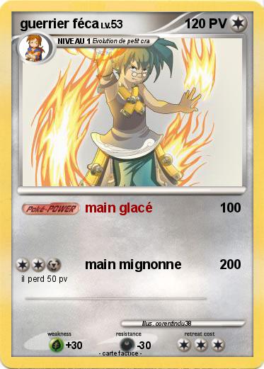 Pokemon guerrier féca
