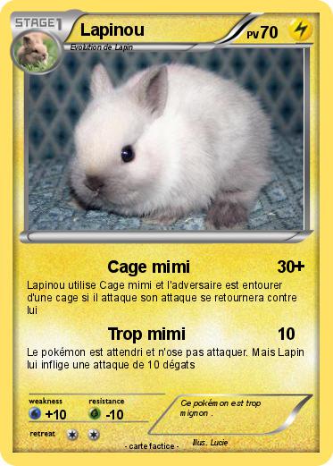 Pokemon Lapinou