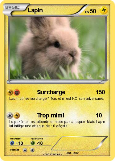 Pokemon Lapin
