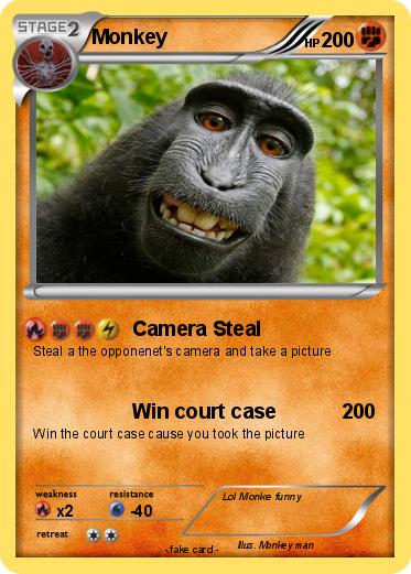 Pokemon Monkey