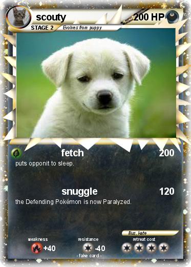 Pokemon scouty