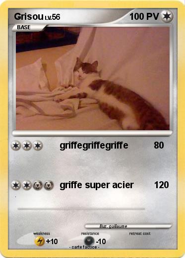 Pokemon Grisou