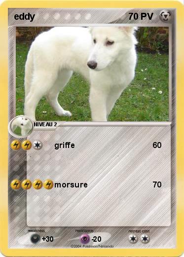 Pokemon eddy