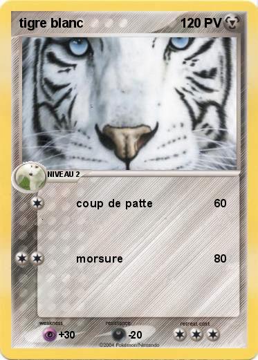 Pokemon tigre blanc