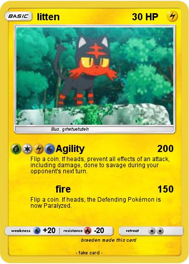 Pokemon litten