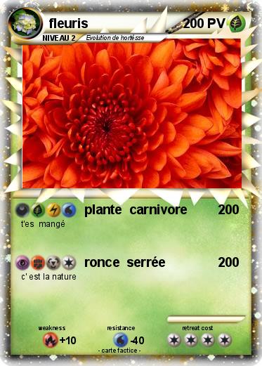 Pokemon fleuris