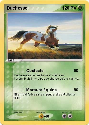 Pokemon Duchesse