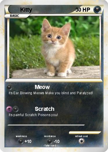 Pokemon Kitty