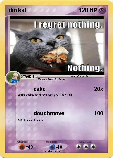 Pokemon din kat