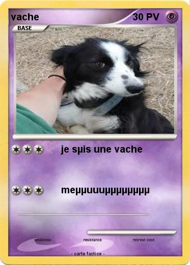 Pokemon vache