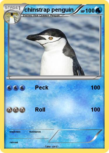 Pokemon chinstrap penguin