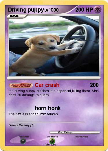 Pokemon Driving puppy