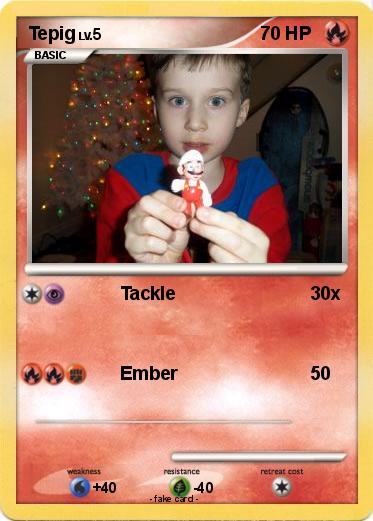 Pokemon Tepig