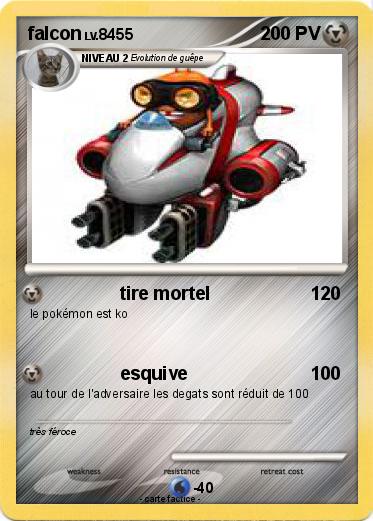 Pokemon falcon