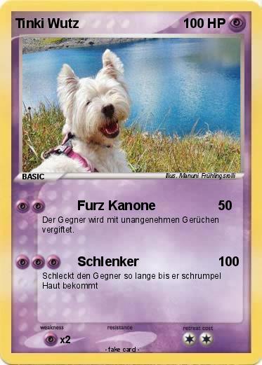 Pokemon Tinki Wutz