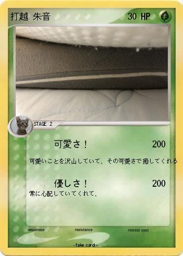 Pokemon 打越 朱音