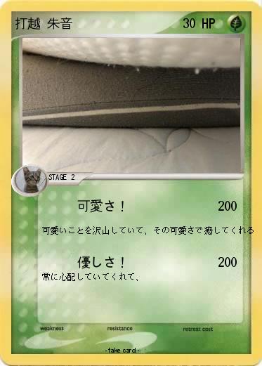 Pokemon 打越 朱音