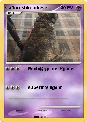 Pokemon staffordshire obèse