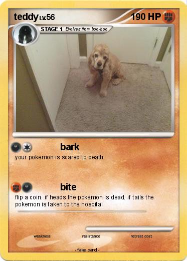 Pokemon teddy
