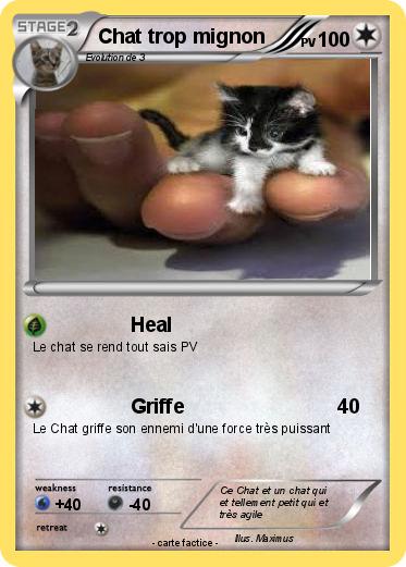 Pokemon Chat trop mignon