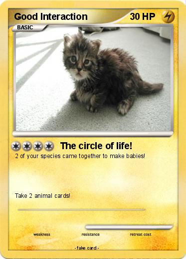 Pokemon Good Interaction