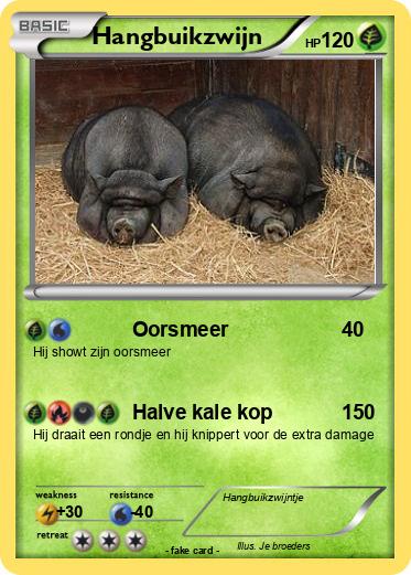 Pokemon Hangbuikzwijn