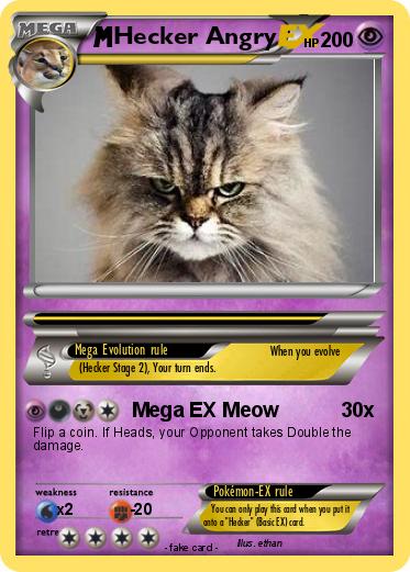 Pokemon Hecker Angry