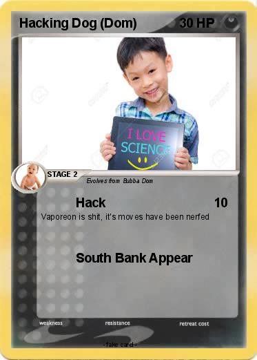 Pokemon Hacking Dog (Dom)