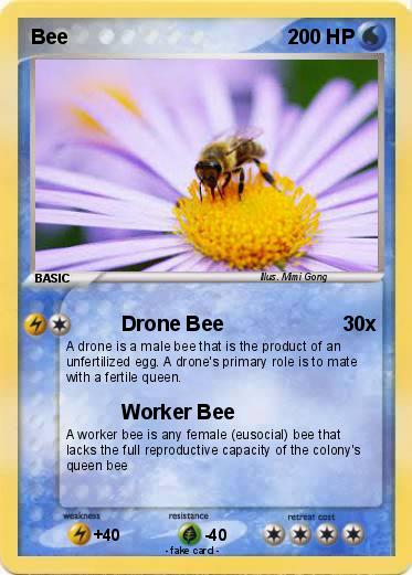 Pokemon Bee