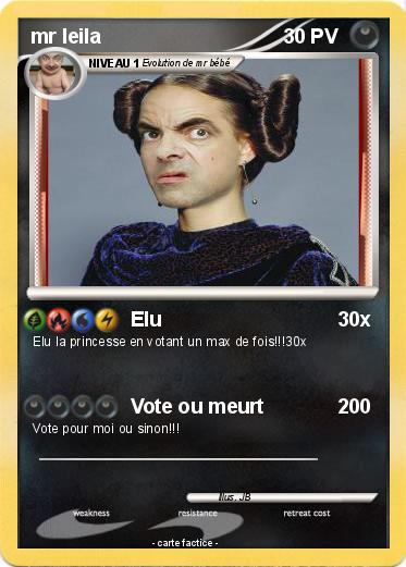 Pokemon mr leila