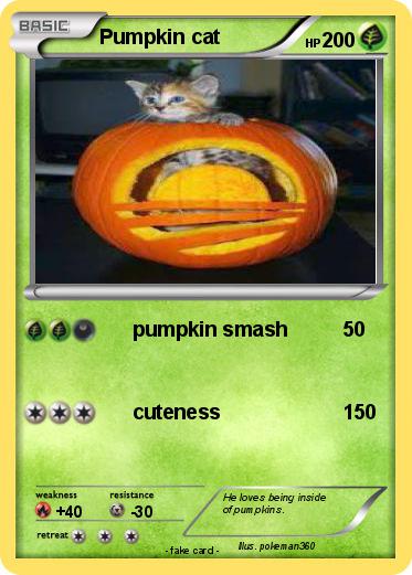 Pokemon Pumpkin cat