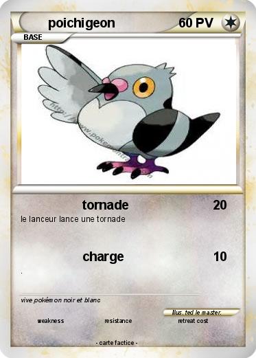 Pokemon poichigeon