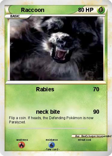 Pokemon Raccoon
