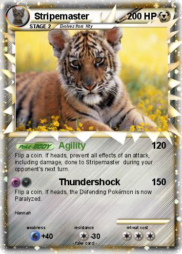 Pokemon Stripemaster