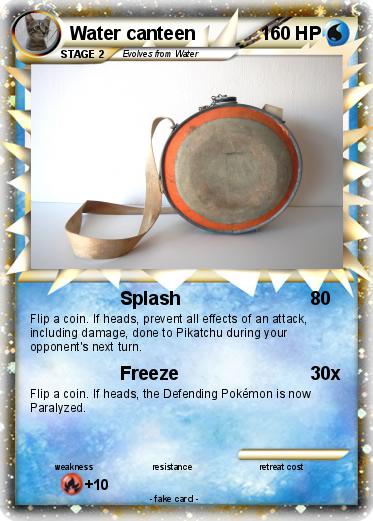 Pokemon Water canteen