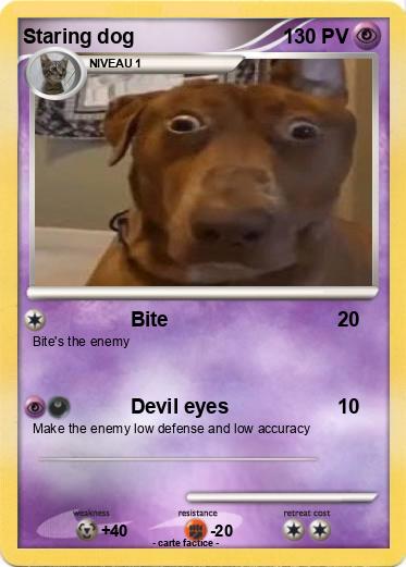 Pokemon Staring dog