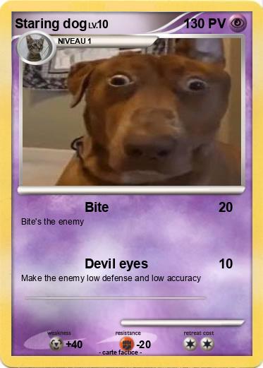 Pokemon Staring dog