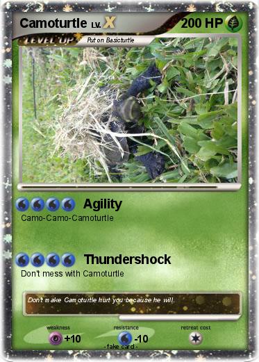Pokemon Camoturtle