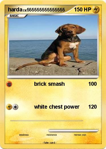 Pokemon harda