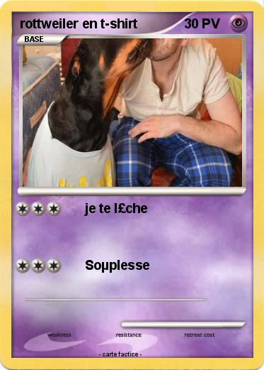Pokemon rottweiler en t-shirt