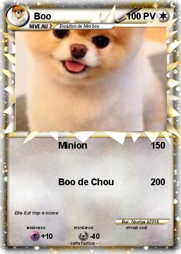 Pokemon Boo